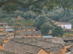 -杨家堂村