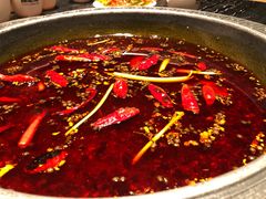 -杨肥肠小火锅(跃进路店)