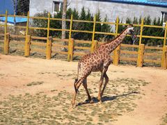 -西霞口神雕山野生动物世界