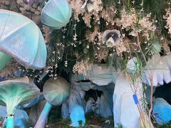-花之城