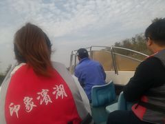 -合肥滨湖国家森林公园