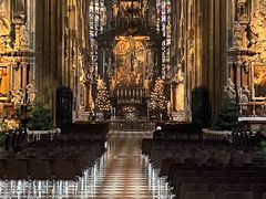 -斯蒂芬主教座堂(Stephansdom)