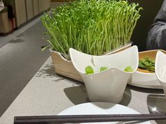 -海底捞火锅(奥森店)