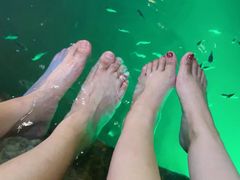 -宝丽金大酒店·洗浴中心