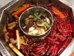 -蜀九香火锅(九眼桥店)