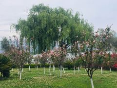-西昌邛海宾馆