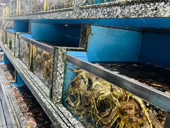 -江杨农产品批发市场