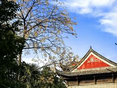 -长春观
