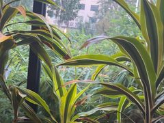 -太守宴·蘭院(天塔店)