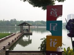 -圩墩遗址公园