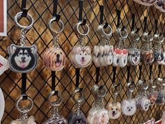 -和它·交个朋友·狗咖猫咖(爱琴海店)