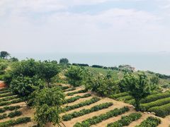 -崂山仰口游览区