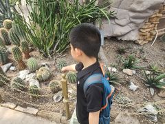 -北京植物园-展览温室