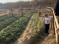 -武汉紫薇都市田园