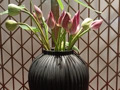 -苏城家宴·金堤花园店(李公堤店)