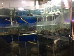 水产区-老虎滩大连海鲜烧烤(建邺云锦路总店)