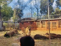 -昆明动物园