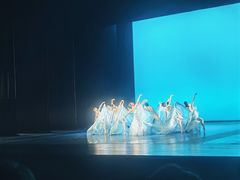 -哈尔滨大剧院