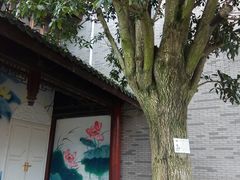 -龙潭水乡