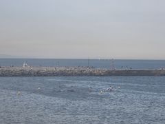 -小巴塞罗那海滩