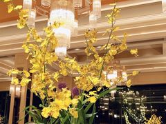 大堂-福楼法餐厅FLO