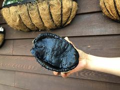 -同乐酒楼(皇后镇店)