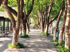 -白马涧龙池景区