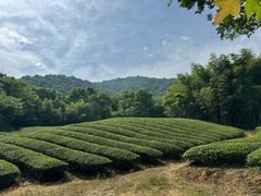 -敬亭山风景名胜区