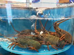 -悦海楼(三衢路店)