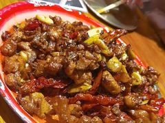 -柴窝堡22号辣子鸡·传承新疆菜