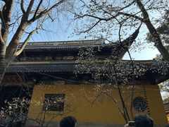-西园戒幢律寺