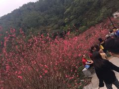 -常德桃花源景区