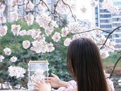 -红星桥(地铁站)