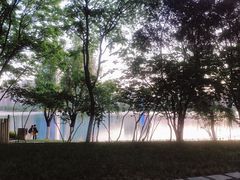 -天鹅湖体育公园