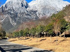 -玉龙雪山蓝月谷