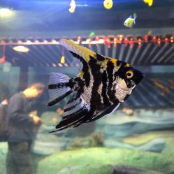 -酷嗒动物文化乐园(cutezoo西溪乐天城店)