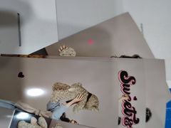 -海马体照相馆(厦门SM城市广场店)