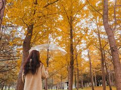 -森林公园(尖草坪区)