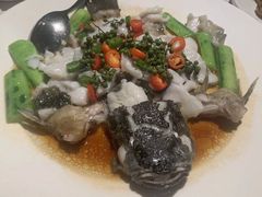 -老伙记海鲜码头(北滘店)