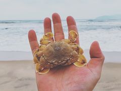 -日月湾海门游览区