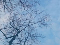 -白云山索道-售票处