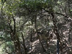 -杭州半山国家森林公园