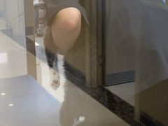 -瑞鹏宠物医院·骨科·猫科·内科(第一中心)