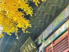-红螺寺