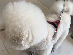 -关爱宠物医院·猫科中心·消化科(滨湖万达分院)