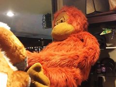 -Sunset Bar(丹绒亚路香格里拉店)