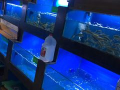 -陈先进鱼馆·夜宵·地道农家菜(湖墅南路店)