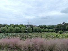 -上海鲜花港