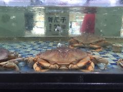 -森谷美食公园(杨行店)