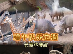-长鹿旅游休博园